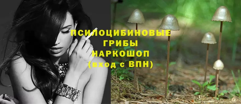 Галлюциногенные грибы Magic Shrooms  Котово 